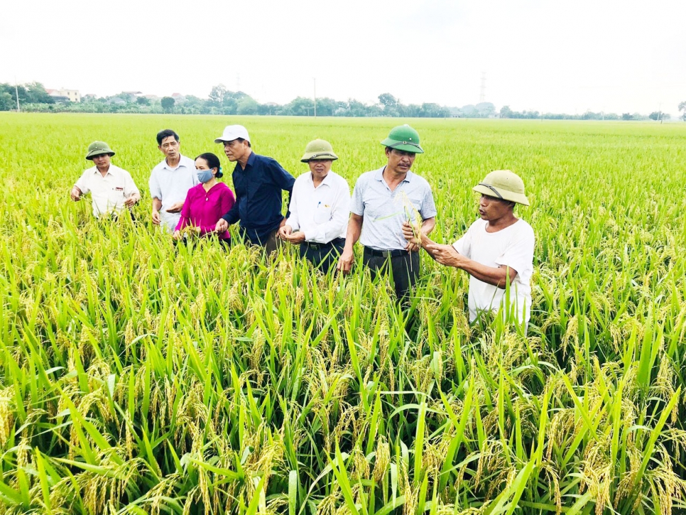 Chung tay xây dựng quê hương giàu đẹp