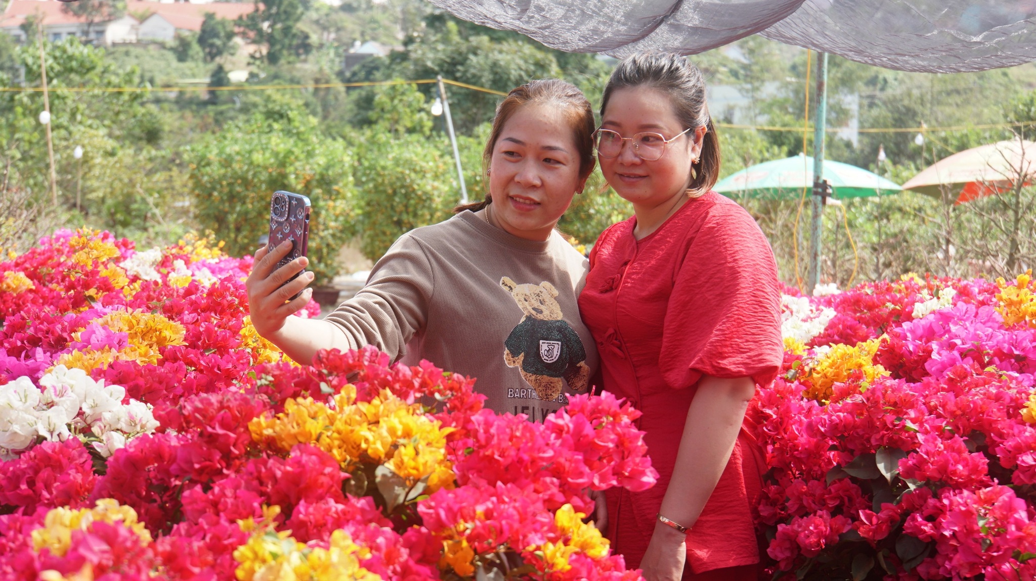 Sát tết chợ hoa xuân Gia Nghĩa rộn ràng, người dân tranh thủ nắng ấm đi mua - ảnh 1