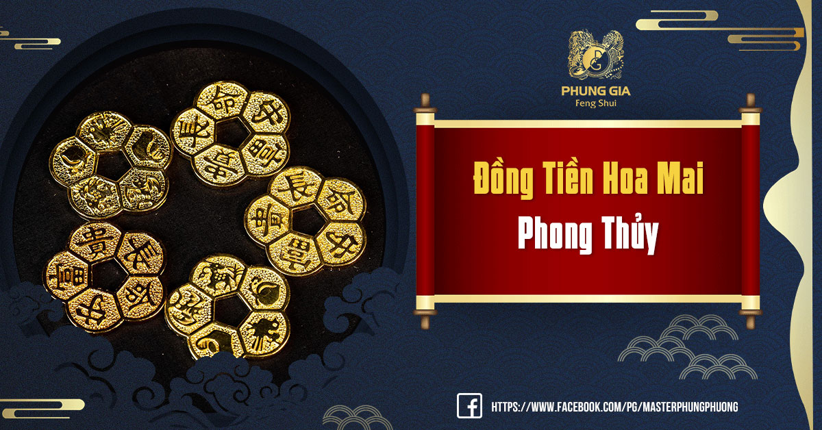 Đồng Tiền Hoa Mai Phong Thủy: Khái Niệm, Ý Nghĩa Và Cách Dùng Hợp Phong Thủy