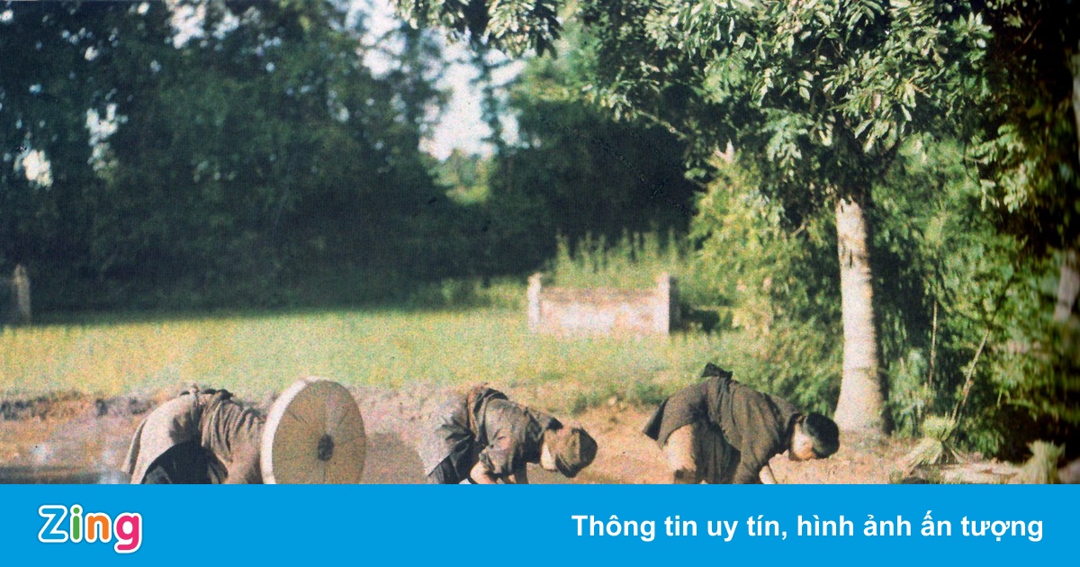 ‘Tục ngữ phong dao’: Di sản văn hóa dân gian của dân tộc Việt