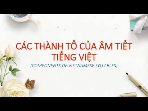 Cách viết phiên âm âm vị học tiếng Việt