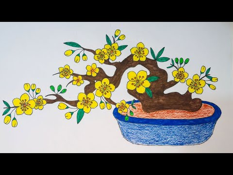 Vẽ hoa mai ngày tết | Cách vẽ hoa mai | Vẽ cây mai đón tết