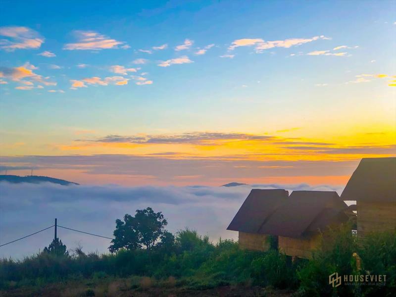 Ngôi nhà gỗ nằm trên đỉnh núi quanh năm mây phủ ở Đà Lạt mang vẻ đẹp huyền ảo, đầy hương sắc như ở chốn thần tiên. T06/2022