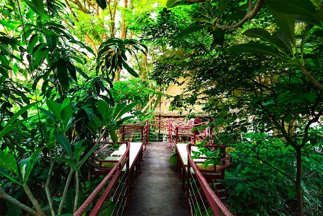 Những ngôi nhà cây được Đào Anh Khánh lên ý tưởng và bắt tay vào xây dựng cách đây gần 20 năm, trong khuôn viên rộng 2.500 m2