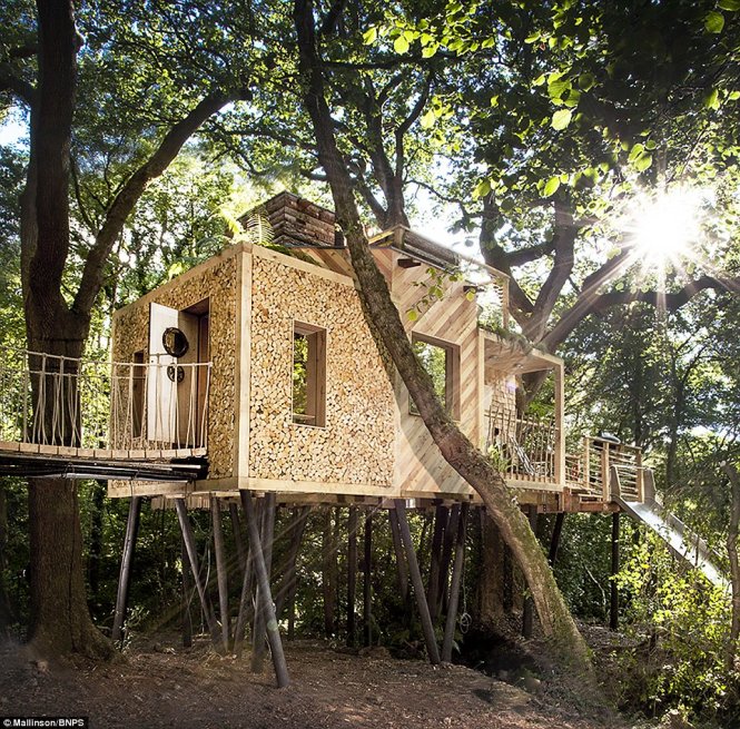 Ngắm ngôi nhà trên cây đẹp như mơ | Thiết kế kiến trúc tại phú quốc | san lắp mặt bằng tại Phú Quốc
