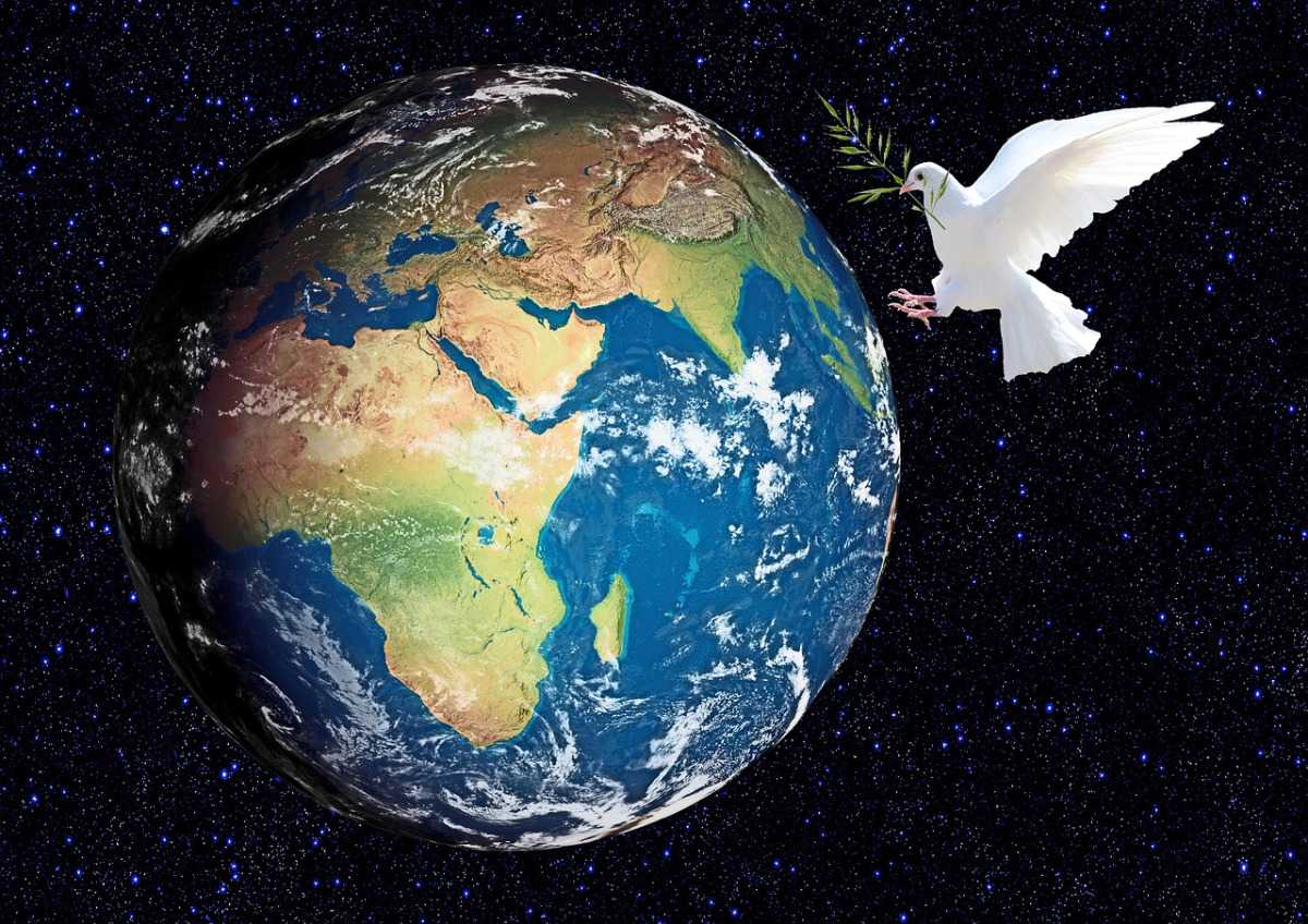 Ảnh Trái Đất và cánh chim bồ câu