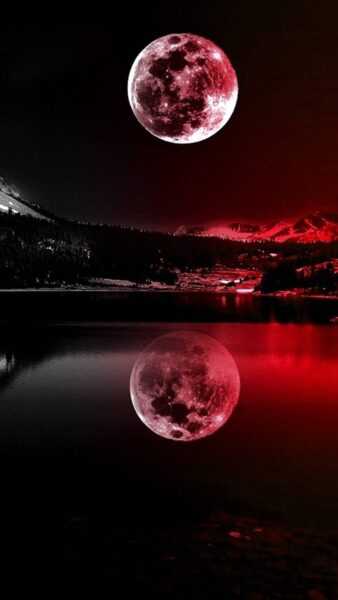 Vẻ đẹp huyền ảo của trăng máu