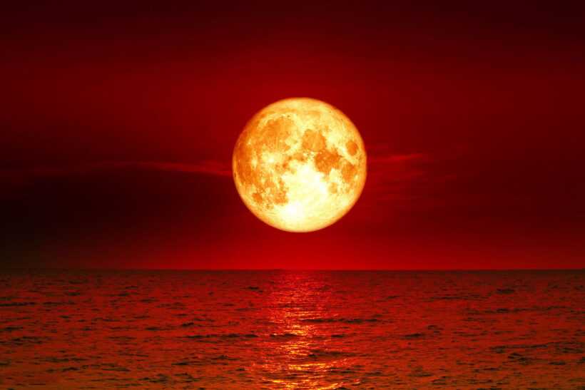 Hình ảnh ánh trăng máu đẹp