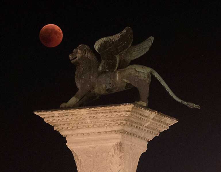 Hình ảnh trăng máu đẹp bên cạnh sư tử ở tại Ý