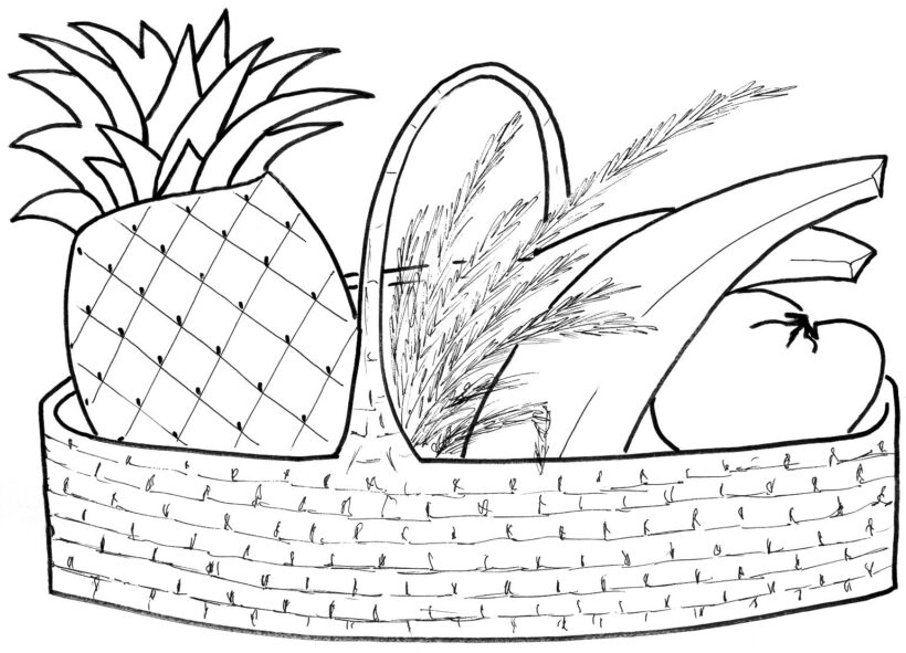 La imagen para colorear de la bandeja de cinco frutas en las vacaciones de Tet está perfectamente dividida