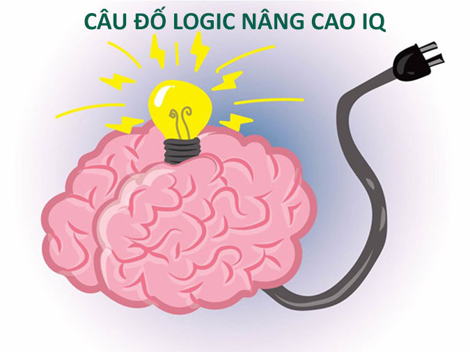 cau-do-logic-voh-0