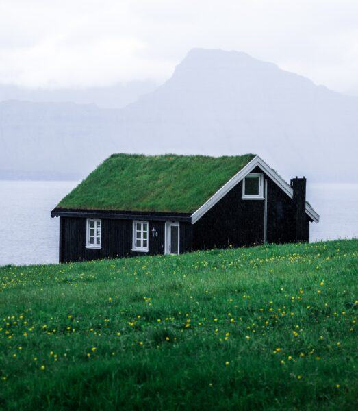 Hình ảnh ngôi nhà mái cỏ độc đáo