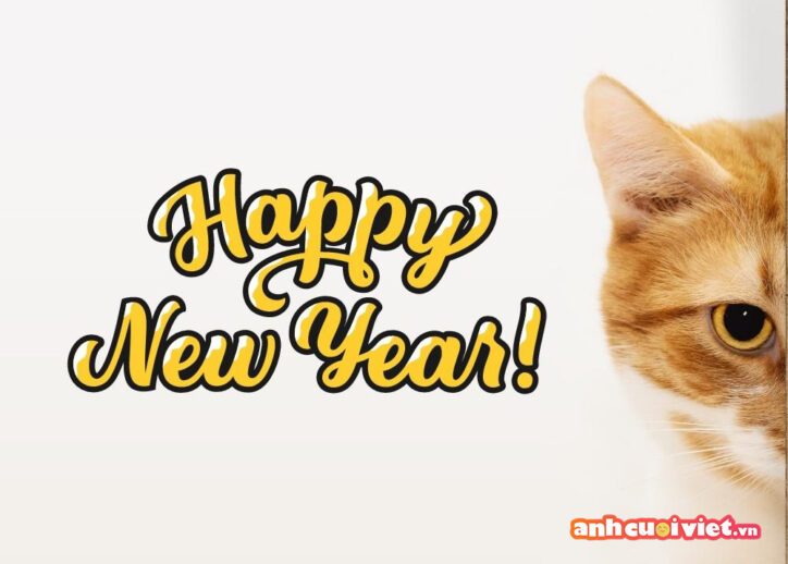 Hình nền mèo trong năm mới và dòng chữ chúc mừng màu vàng theo font uốn lượn đáng yêu