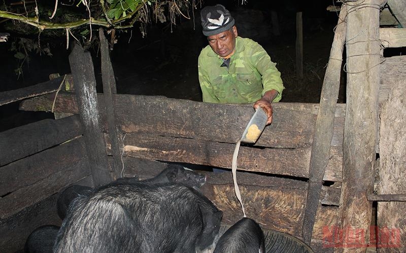 Trong ngày mồng Một Tết, người đàn ông dân tộc Mông sẽ dậy sớm nhất để cho lợn, gà ăn hoặc làm các công việc quan trọng trong gia đình