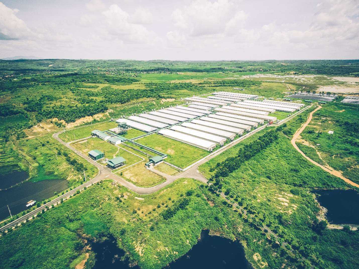 Tập đoàn GREENFEED đầu tư nghiêm túc vào hệ thống chuồng trại, nhà máy để tạo ra thương phẩm chất lượng
