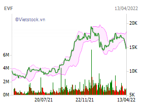 EVF: Công ty Tài chính Cổ phần Điện lực - EVN Finance ( https://finance.vietstock.vn › EVF-co... ) 