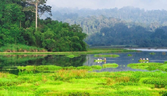 Khu dự trữ sinh quyển Đồng Nai được UNESCO công nhận là Khu dự trữ sinh quyển thứ 580 của thế giới vào ngày 29/6/2011