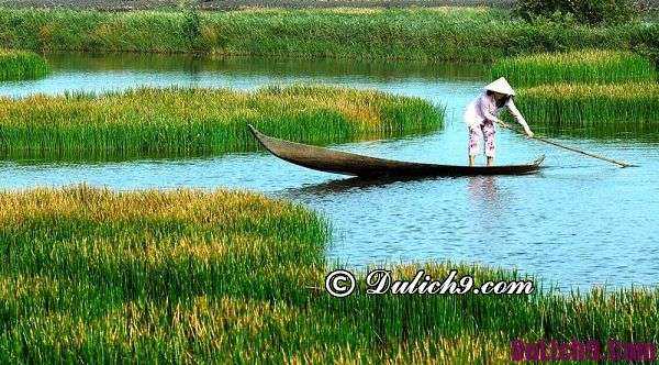 Nên du lịch Cà Mau vào thời gian nào? Du lịch Cà Mau mùa nào đẹp nhất