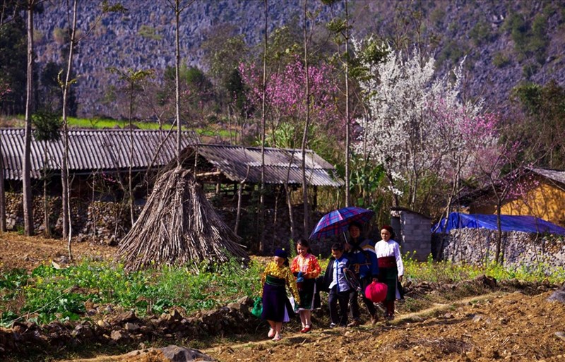 Độc đáo Tết sớm của người Mông ở Hà Giang