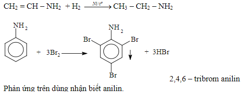 Amin là gì? Công thức cấu tạo, tính chất hóa học và bài tập về amin?