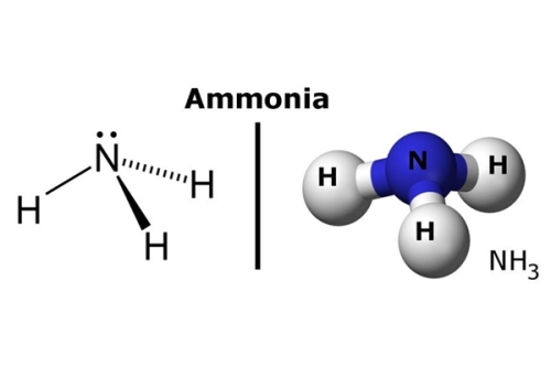amoniac