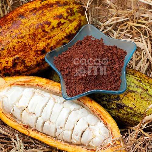 Cập nhật bảng giá bột cacao nguyên chất