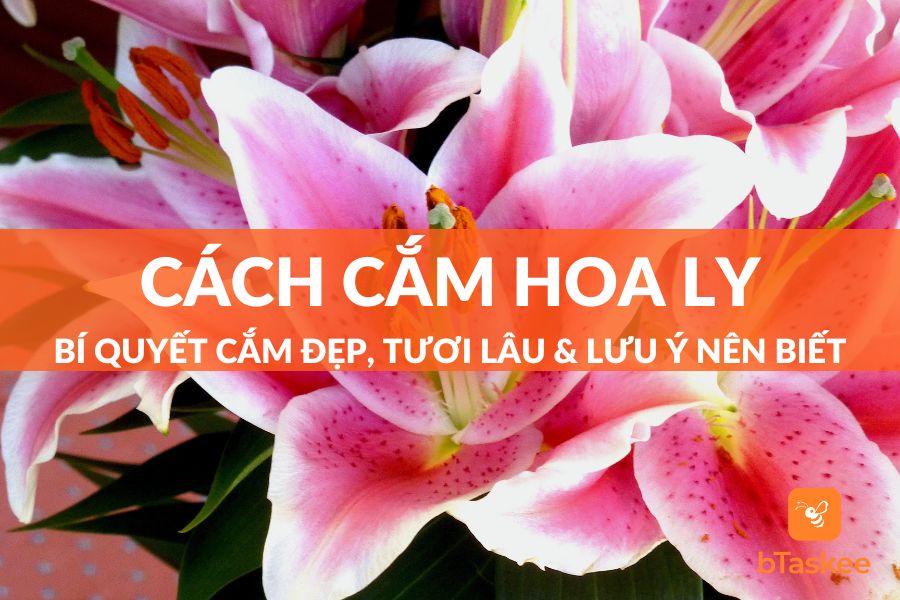 Cách Cắm Hoa Ly Đẹp, Tươi Lâu Và 5 Lưu Ý Cần Biết – bTaskee