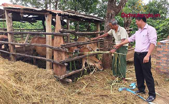 Bài cúng ông Chuồng bà Chuồng đúng chuẩn phong thủy 2021