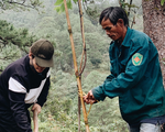 Hà Anh Tuấn trồng 1.800 cây rừng để giúp chống lũ trong dự án Rừng Việt Nam