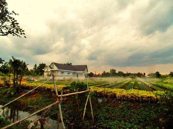 homestay-dong-thap-FlowerVillage-