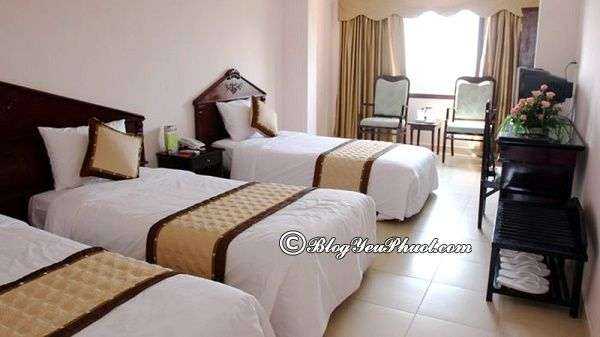 Du lịch Nam Định nên ở đâu, khách sạn nào? Địa chỉ những khách sạn đẹp, sạch sẽ, tiện nghi ở Nam Định
