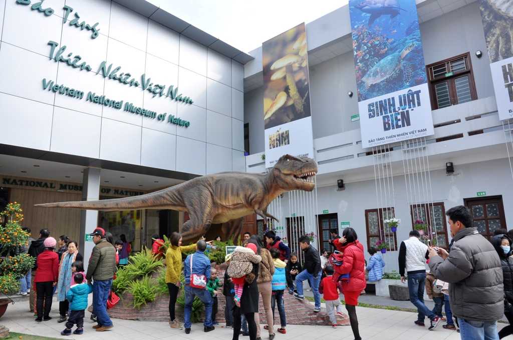 Khu vực sân chính của bảo tàng được đặt một mô hình con khủng long lớn