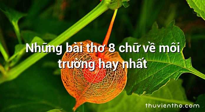 Những bài thơ 8 chữ về môi trường hay nhất