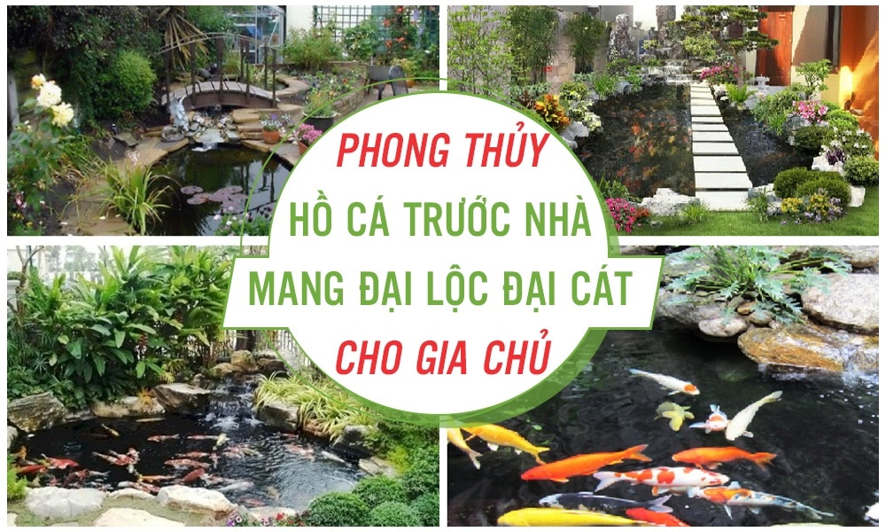 Phong thủy hồ cá trước nhà mang đại lộc đại cát