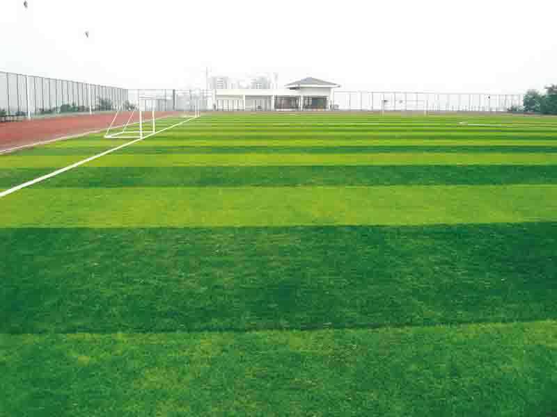 Kĩ thuật đá bóng trên sân cỏ nhân tạo