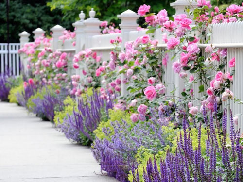 Thiết kế vườn hoa trước nhà với 28 ý tưởng sáng tạo đầy ấn tượng cho nhà vườn, biệt thự phố.
