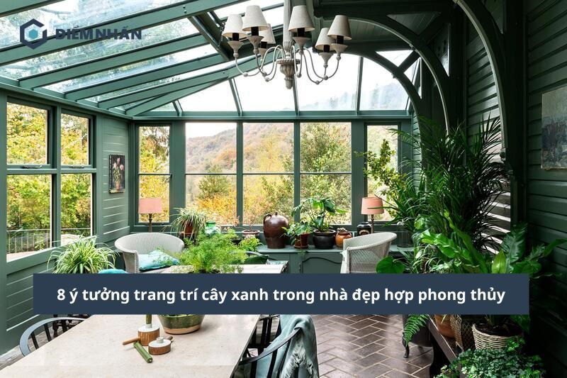 8 ý tưởng trang trí cây xanh trong nhà đẹp hợp phong thủy