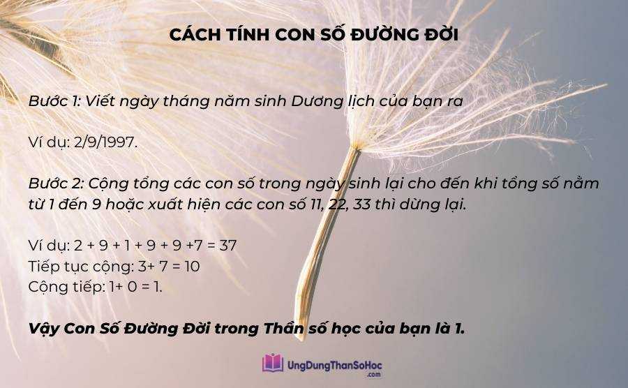 Cach tinh chi so duong doi -Than so hoc