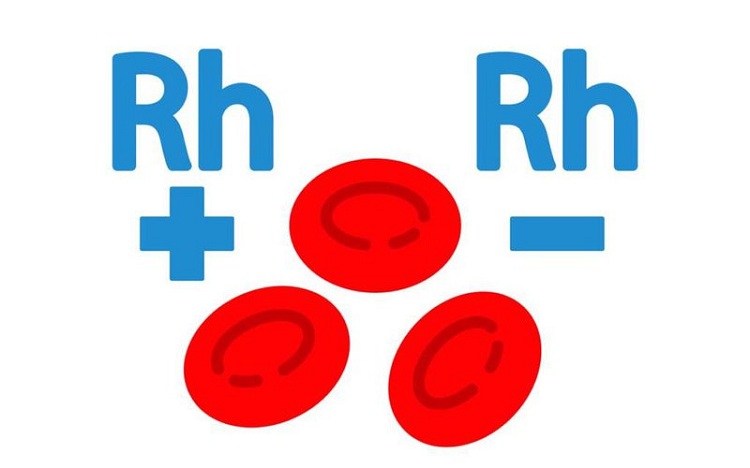 Những nhóm máu Rh- đều là nhóm máu hiếm