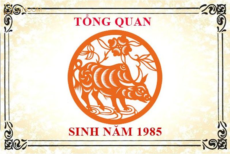 Nếu bạn đang thắc mắc người sinh năm 1985 mệnh gì, tuổi con gì, hợp màu nào,... thì đừng bỏ qua những thông tin hữu ích trong bài viết dưới đây. Sencom sẽ...