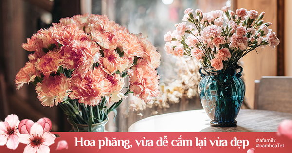 Vừa dễ cắm lại vừa đẹp, hoa cẩm chướng chính là loại hoa không thể thiếu trong ngày Tết