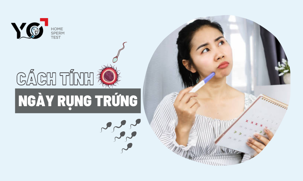 Cách tính ngày rụng trứng để sinh con chia sẻ từ chuyên gia!