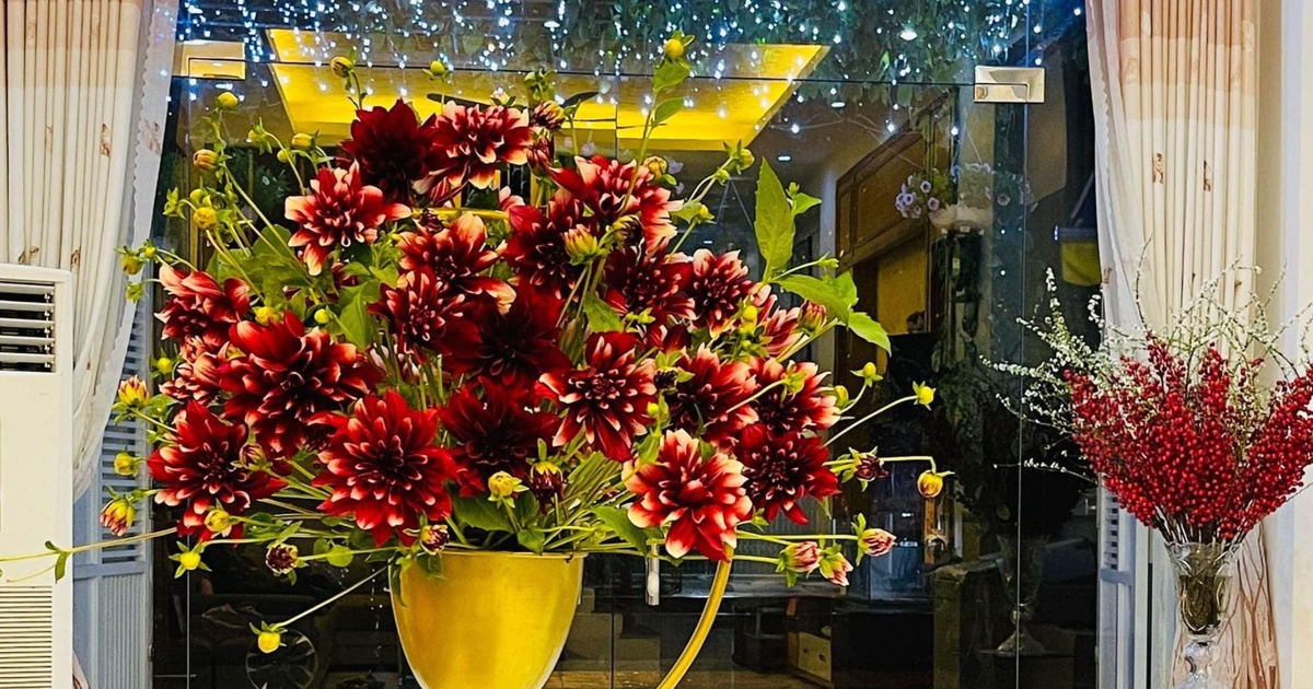 Những loại hoa nào bạn chọn chưng tết nhằm đem lại sự may mắn cả năm?