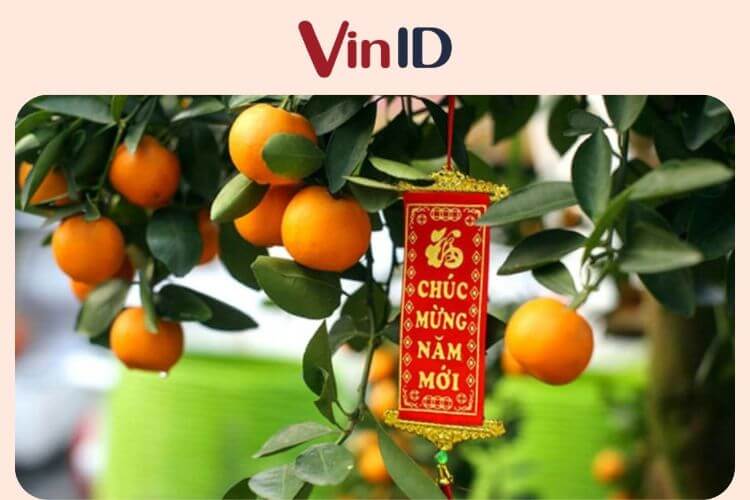 Nhờ những câu đối nhỏ treo trên cây quất sẽ mang đến nguồn năng lượng tích cực trong năm mới