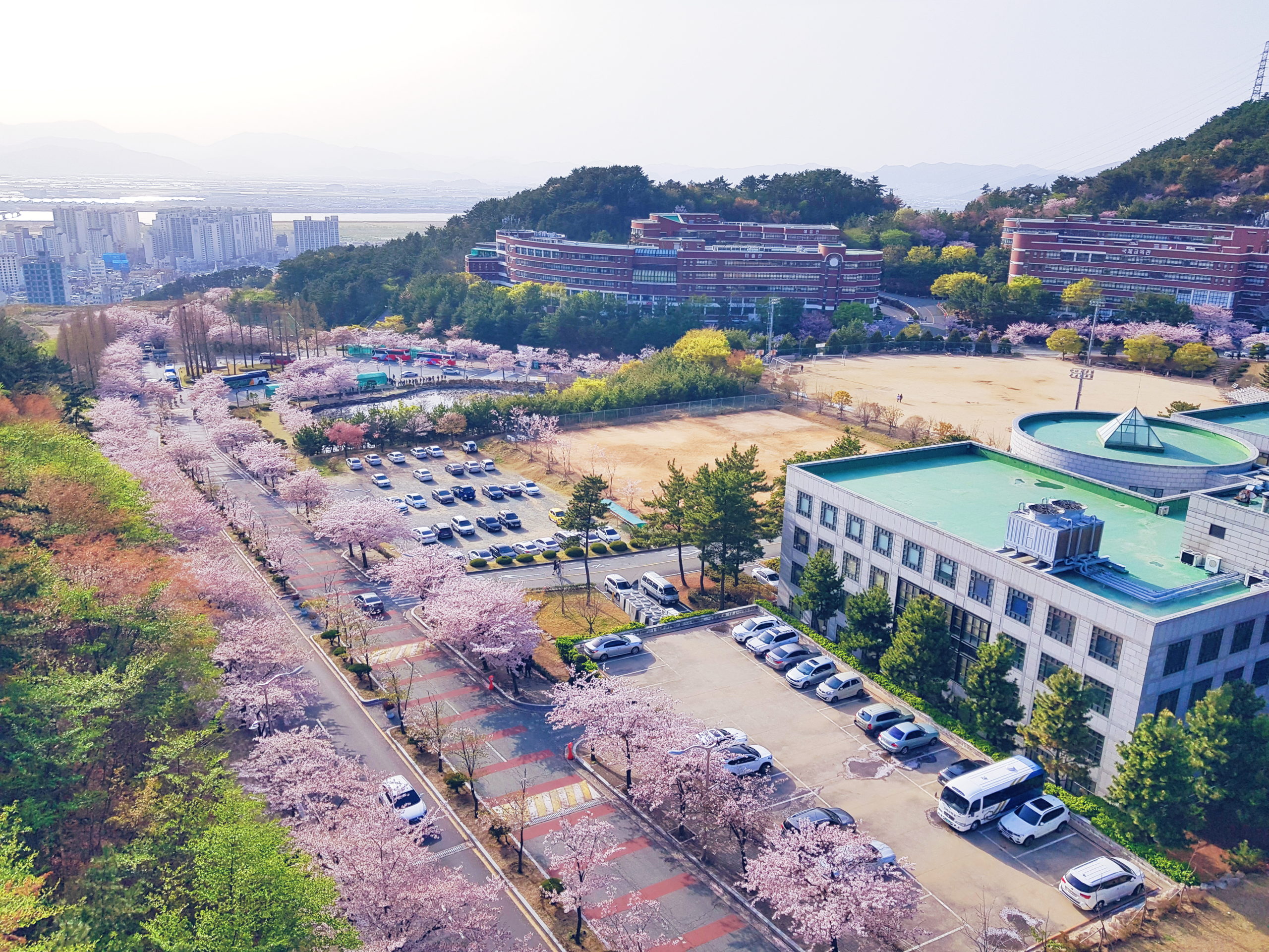 [2019] Danh sách các trường Đại học Hàn Quốc TOP 1% Visa thẳng năm