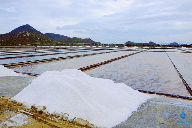 Ngo ngang voi ve dep trang le cua nhung canh dong muoi o Ninh Thuan hinh anh 4