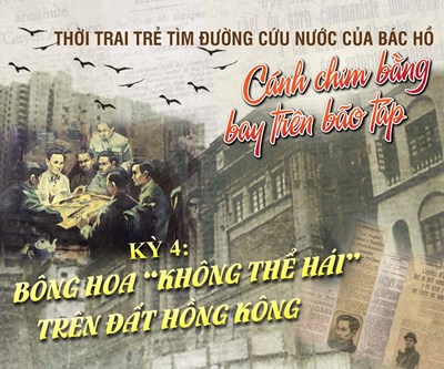 Kỳ 4: Bông hoa “không thể hái” trên đất Hồng Kông