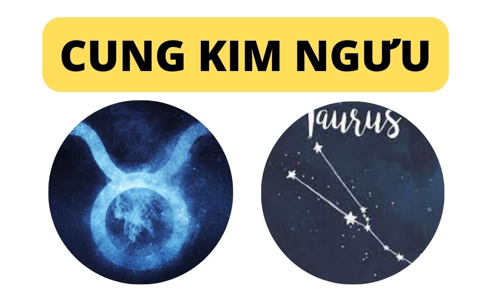 Khám Phá Bí Mật Cung Kim Ngưu Nam Nữ với Trang Sức Glosbe