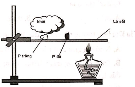 Photpho (Lý thuyết + 35 bài tập có lời giải) (ảnh 1)