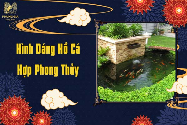 Hình Dáng Hồ Cá Hợp Phong Thủy